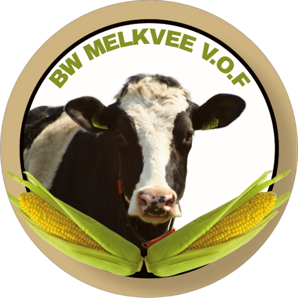 BW melkvee vof